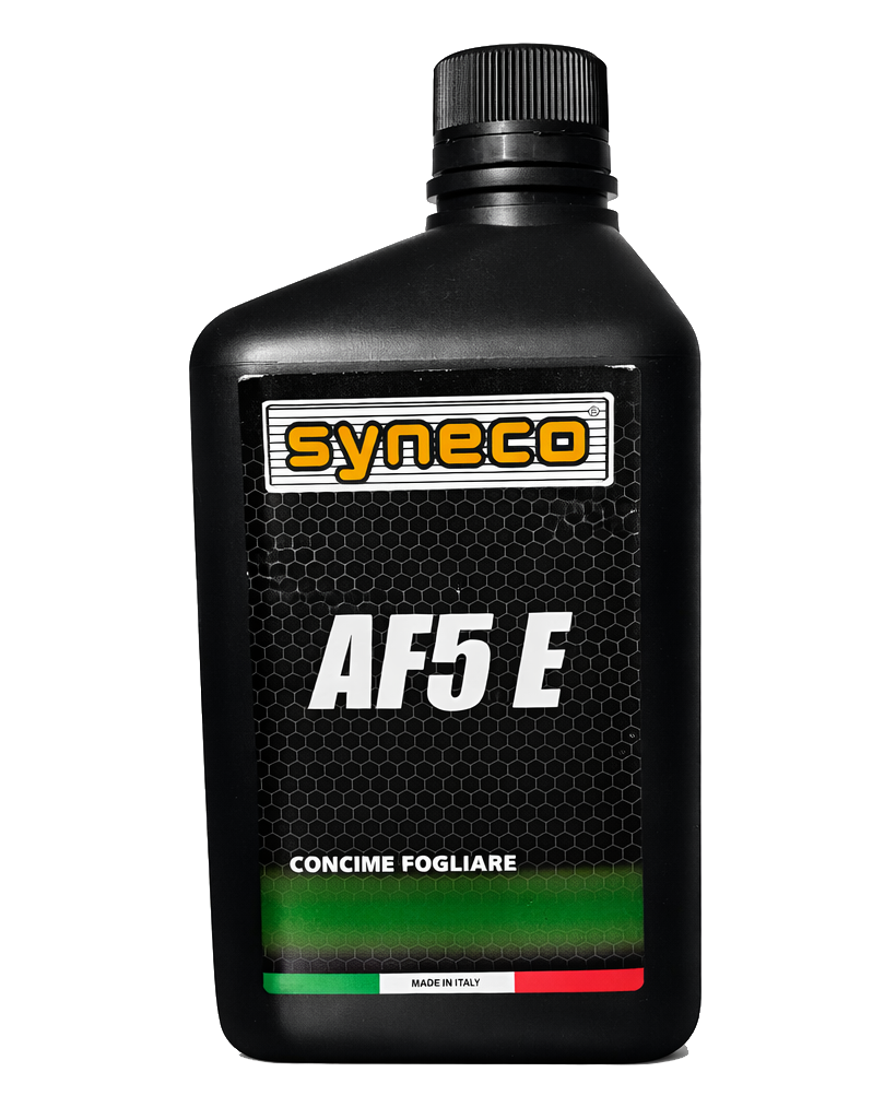 af5 syne